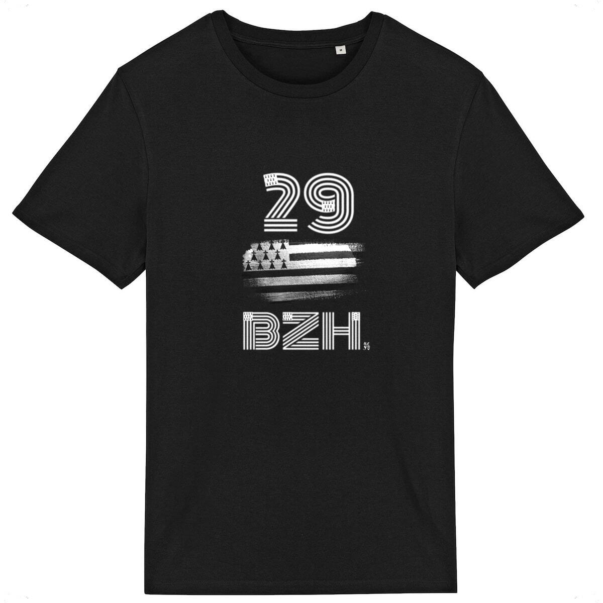 BZH-numero 29